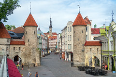 Tallinn 2022