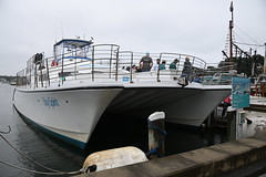 Hyannis Harbor Tour