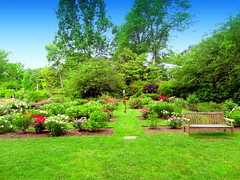 New Jersey, Reeves-Reed Arboretum, Summit