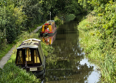 Montgomery Canal at Canal Central September 2022
