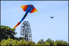 Clontarf 2022 Kite Fest Sep 18th