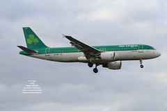 Aer Lingus - EI-DEL