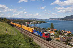 Güterzüge / Freight trains