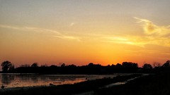 Arcadia Marsh sunset