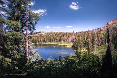Mammoth Lakes, Sierra Nevada Mountains, California