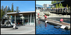 Aquarium, Stanley Park, Vancouver, BC, Sept.'22