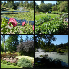 VanDusen Gardens, Vancouver,BC, Sept.'22
