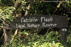 Catclife Nature Reserve 20/08/2022
