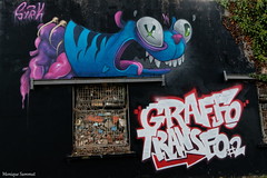 Street Art St Nicolas de Redon Festival Graffo Transfo Septembre2022 