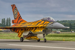 NATO Tiger colour schemes