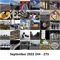 P365, September 2022