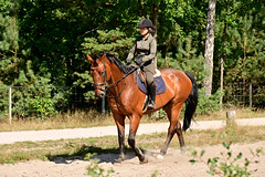 220831 Hilversum - Girl on a Horse #
