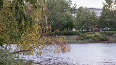 A river green park Autumn nature walk