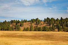 2022 - Custer State Park