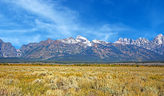 2022 - Grand Tetons and Yellowstone National Parks