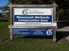 Wawanosh Wetlands