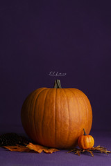 Autumn - Halloween
