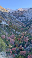 Fall in the Canyon