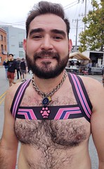 SEXY SHIRTLESS MEN ! ~ BEARRISON STREET FAIR 2022 !