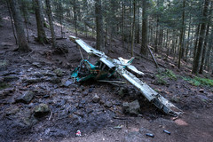 Forest Crash (FRA)