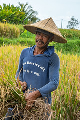 Bali ᬩᬮᬶ (rizières à Ubud)