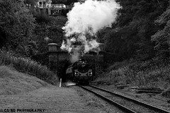 Bluebell Railway - Giants of Steam 2022