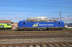 Widmer Rail Services