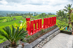 Bali ᬩᬮᬶ (rizières de Jatiluwih)