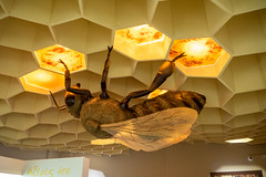Bee Museum of Rhodes | Rhodes