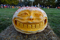 Great Pumpkin Carve, Chadds Ford 10-21-22