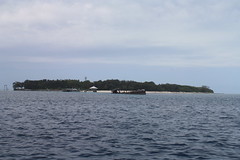 Heron Island