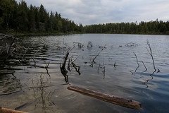 Kettle Lakes Provincial Park