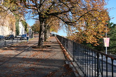 Walk in Geneva (Autumn 2022)