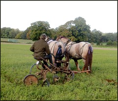 All England Heavy Horse Ploughing Match 2022
