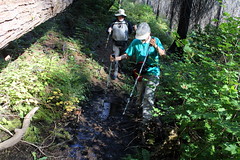 Briggs Creek (Friends of the Umpqua Hiking Club)