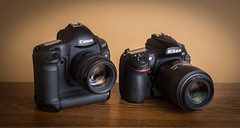 Canon EOS-1D Mark IV (2009) /  Nikon D810 (2014)
