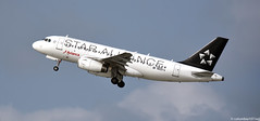Type - Airbus A319