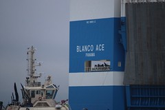 Blanco Ace