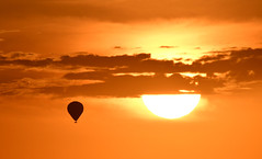 Masai Mara Balloon Safari 2022