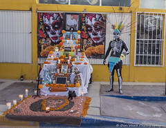 Puerto Penasco Día de los Muertos ~ Fall 2022