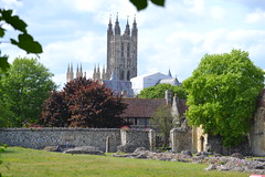 Canterbury in May