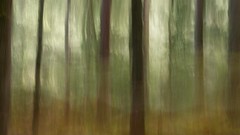 Wyre Forest ICM 2022-10-01