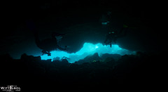 Global underwater photos