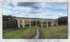 Cannington Viaduct 2022