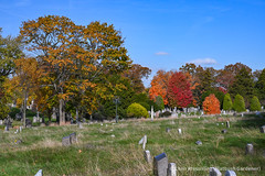 Green-Wood Cemetery 2022-11