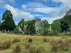 Irland 2022 - 25 July - Killarney - Muckross Abbey