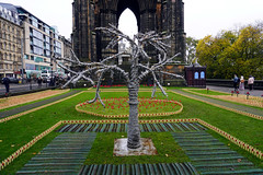 Edinburgh poppy display 2022.