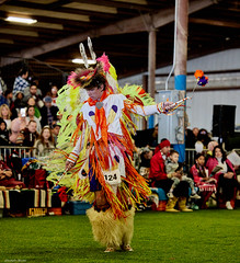 The Austin Powwow & American Indian Heritage Festival @ The Travis County Exposition Center