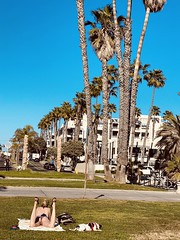 Venice Beach area
