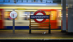Hammersmith & Fulham ハマースミス・アンド・フラム